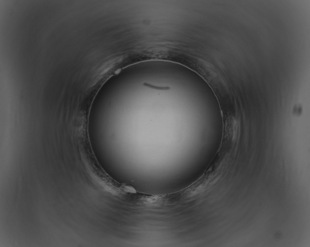 X0000089960092200707131547