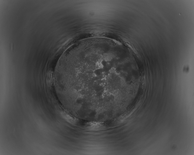 X0000089960093200707131547