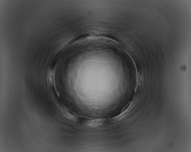 X0000089960094200707131547