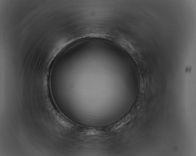 X0000089960098200707131546