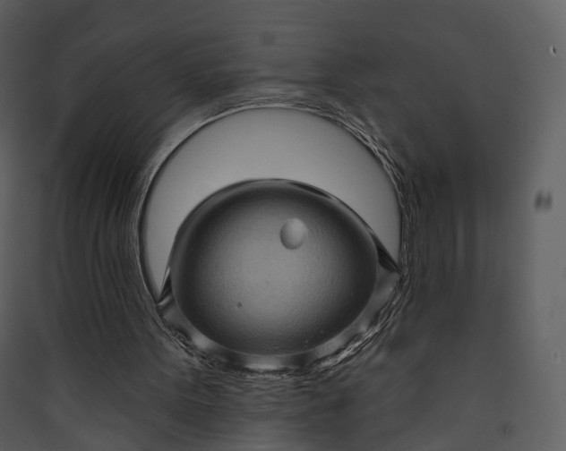 X0000089960099200707131546