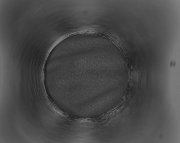 X0000089960100200707131546