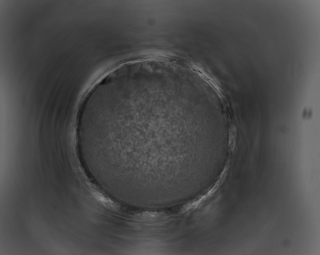 X0000089960101200707131546