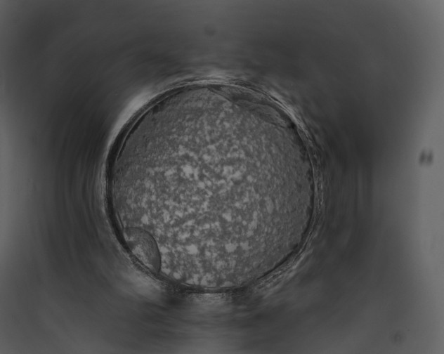 X0000089960102200707131546