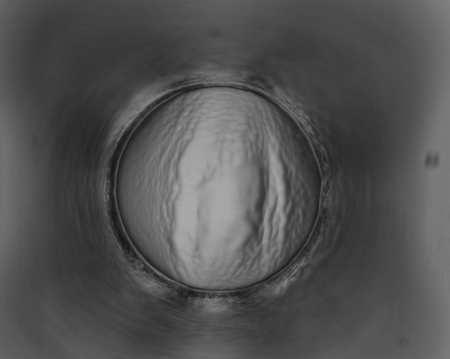 X0000089960103200707131546