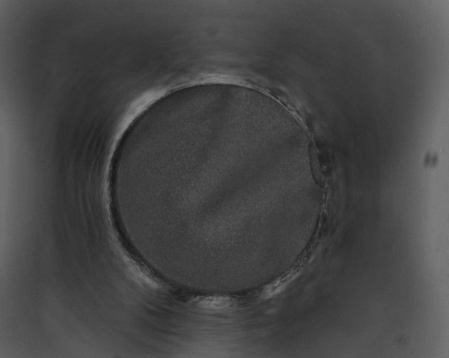 X0000089960104200707131546