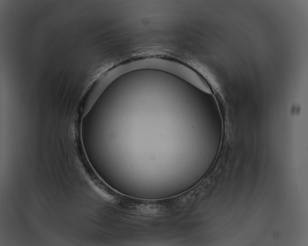 X0000089960105200707131546