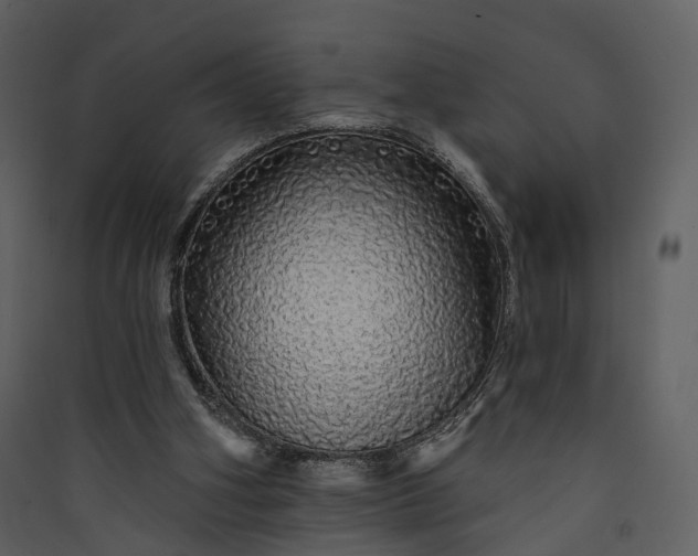 X0000089960106200707131546