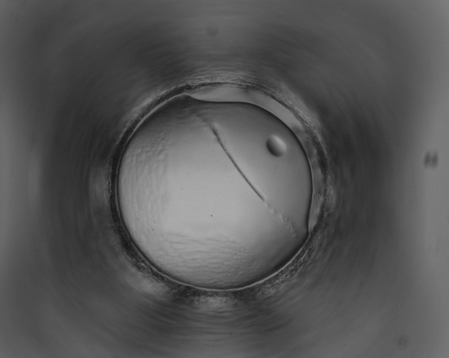 X0000089960107200707131546