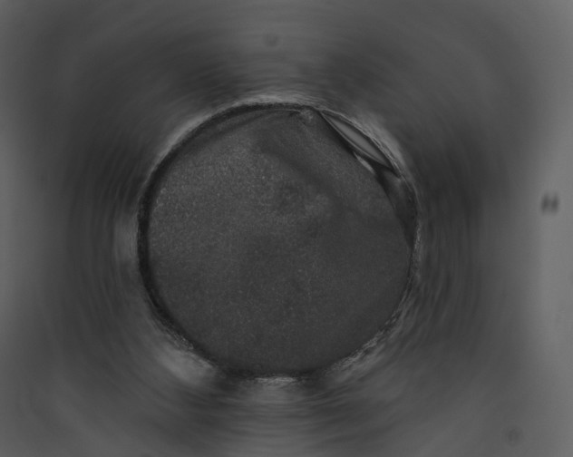 X0000089960108200707131546