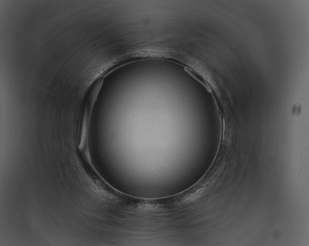 X0000089960109200707131546