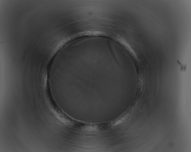 X0000089960110200707131546