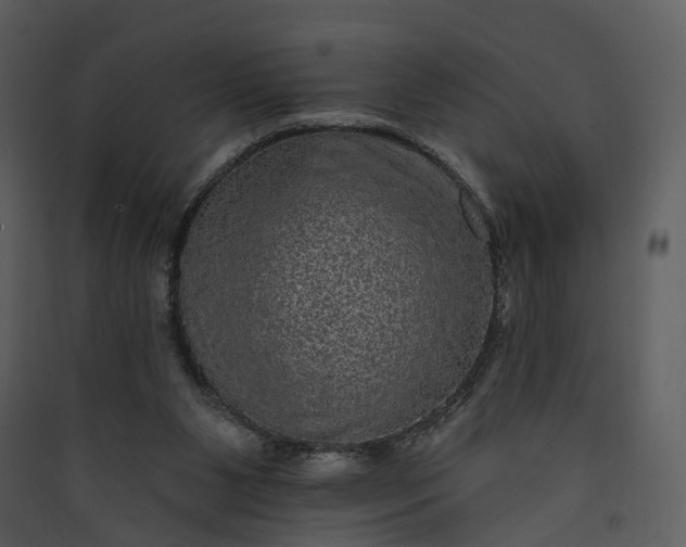 X0000089960111200707131546