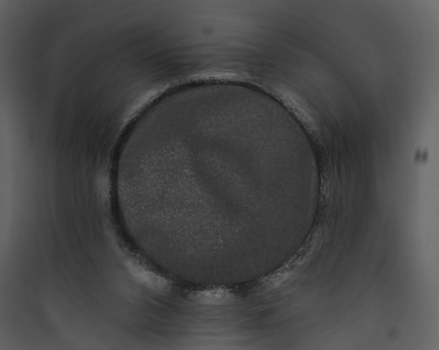 X0000089960112200707131546