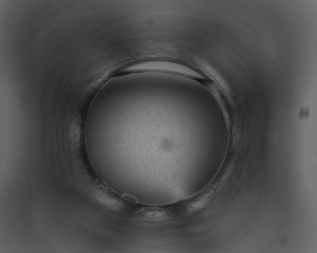 X0000089960113200707131546