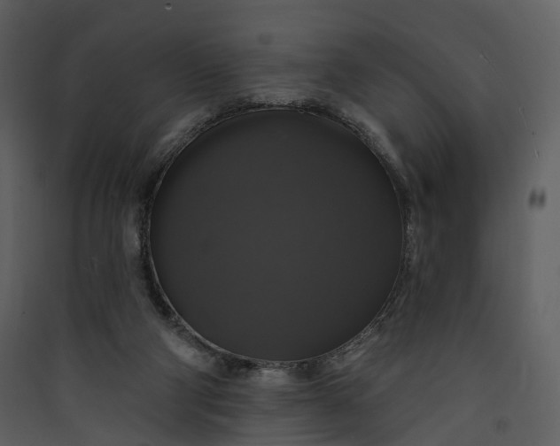 X0000089960114200707131546