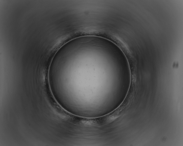 X0000089960115200707131546