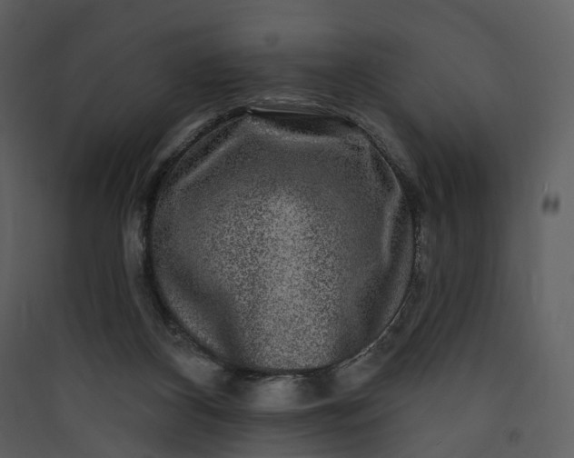 X0000089960116200707131546