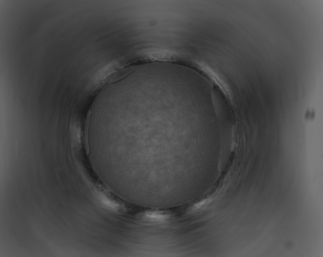 X0000089960117200707131546