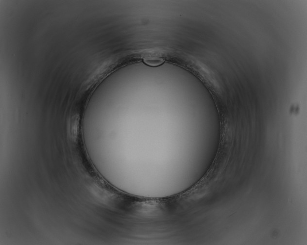 X0000089960118200707131546