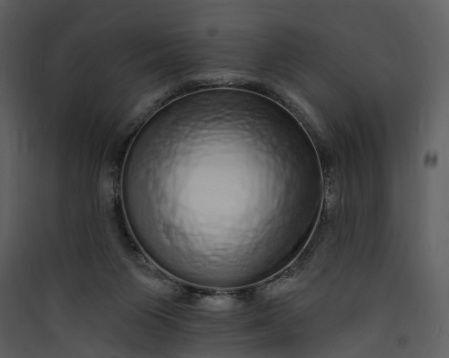 X0000089960119200707131546