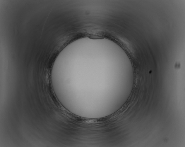 X0000089960121200707131546