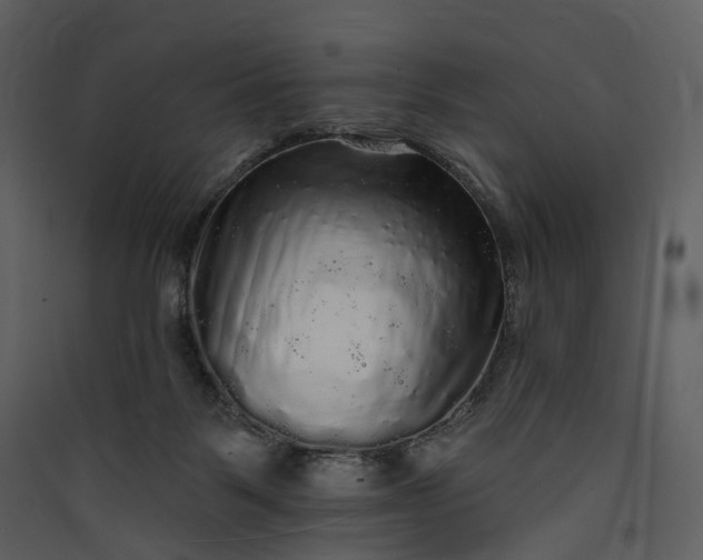 X0000089960123200707131545