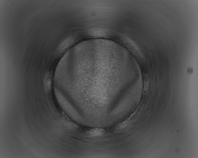 X0000089960124200707131545