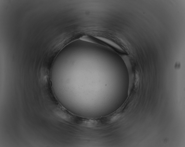 X0000089960125200707131545