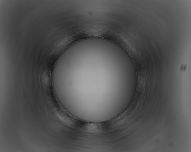 X0000089960126200707131545