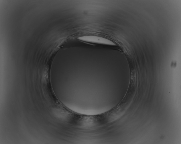 X0000089960127200707131545