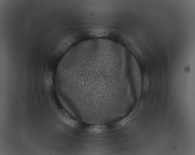 X0000089960128200707131545