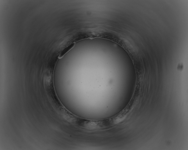 X0000089960129200707131545