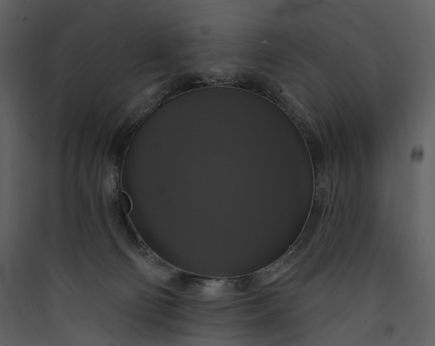 X0000089960130200707131545