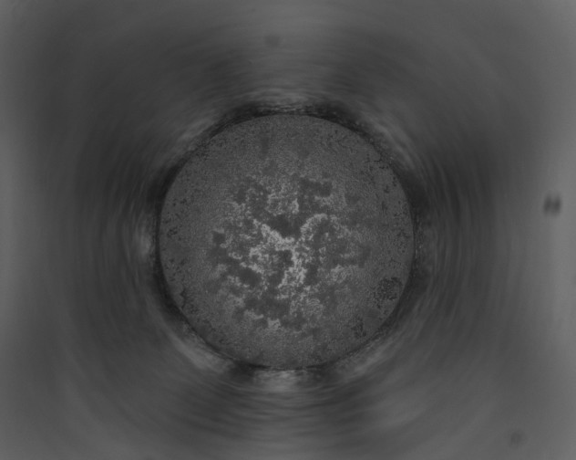 X0000089960131200707131545