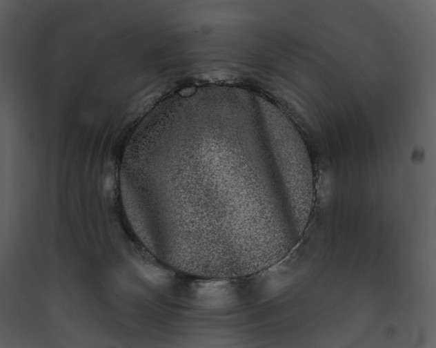 X0000089960132200707131545