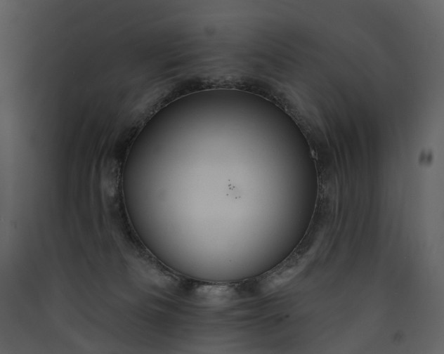 X0000089960133200707131545