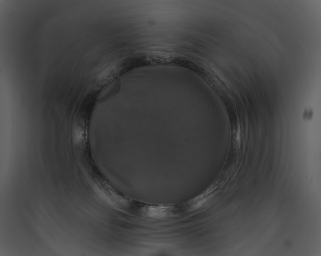 X0000089960134200707131545