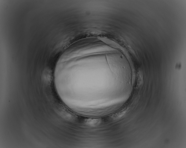 X0000089960135200707131545