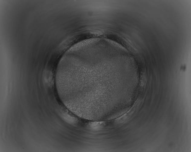 X0000089960136200707131545