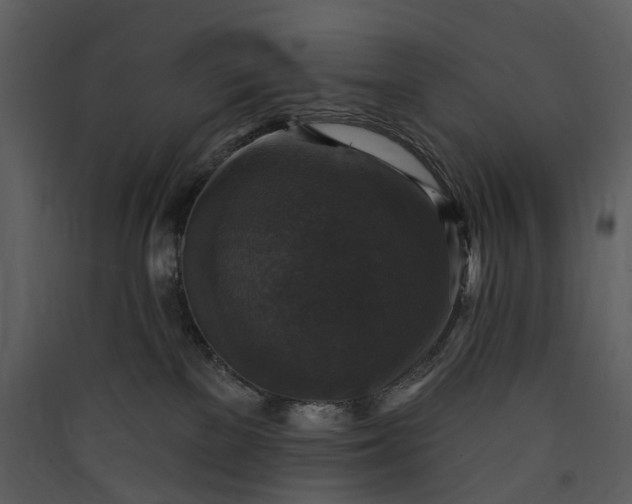 X0000089960137200707131545