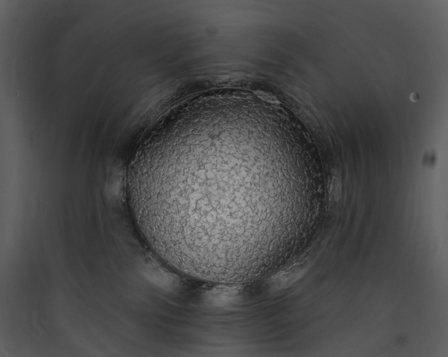 X0000089960138200707131545