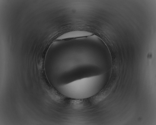 X0000089960139200707131545