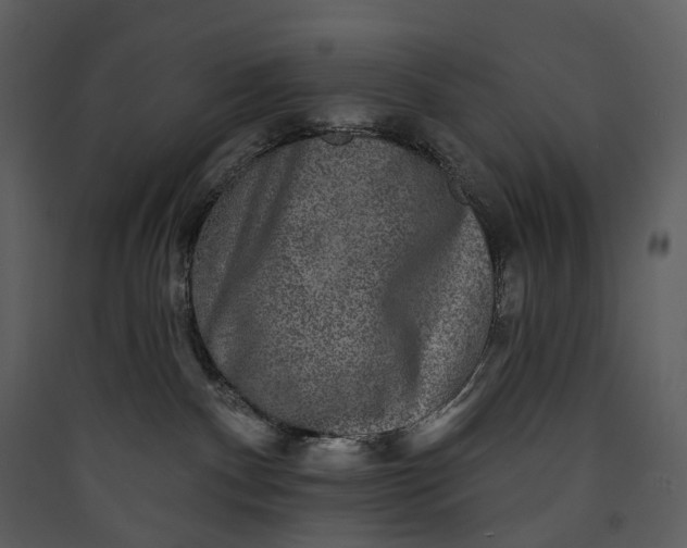 X0000089960140200707131545