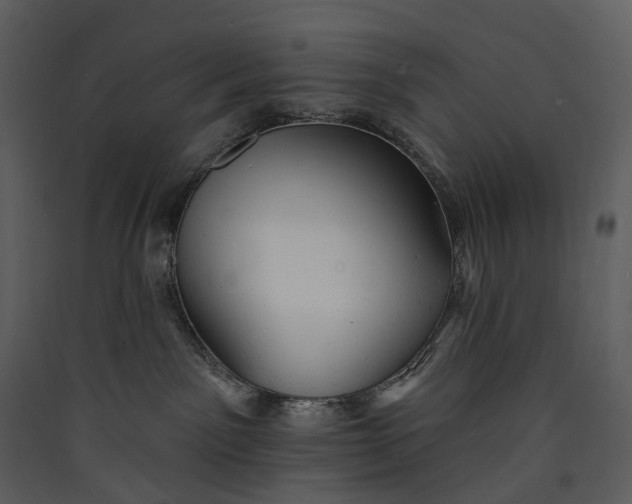 X0000089960141200707131545