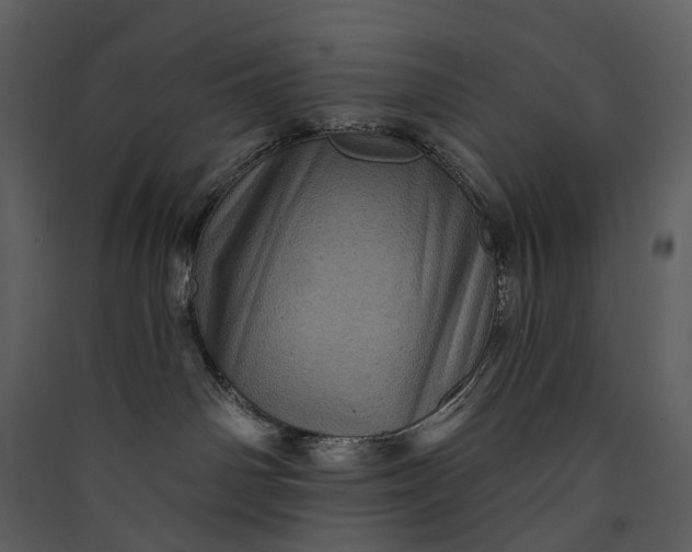 X0000089960142200707131545