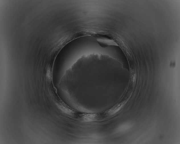 X0000089960143200707131545