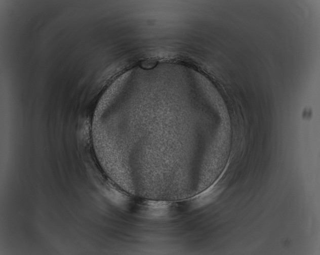 X0000089960144200707131545