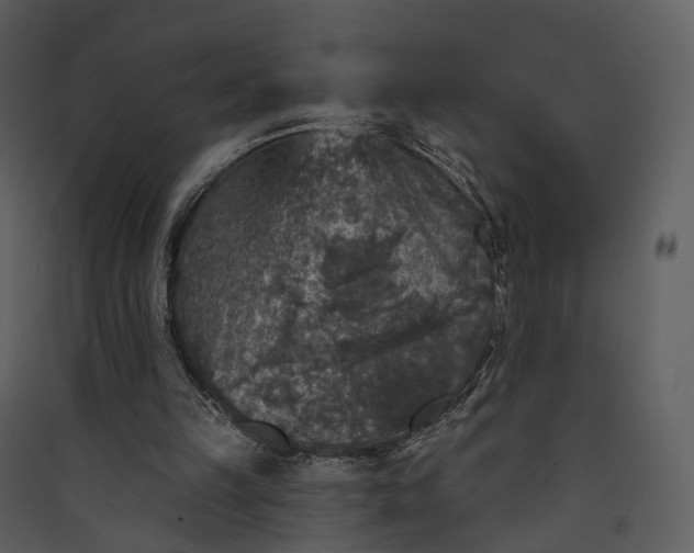 X0000089960149200707131544