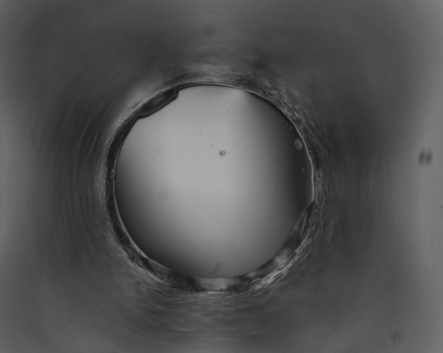 X0000089960150200707131544